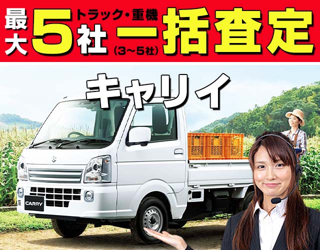 最大5社（3〜5社）トラック・重機一括査定 キャリィ